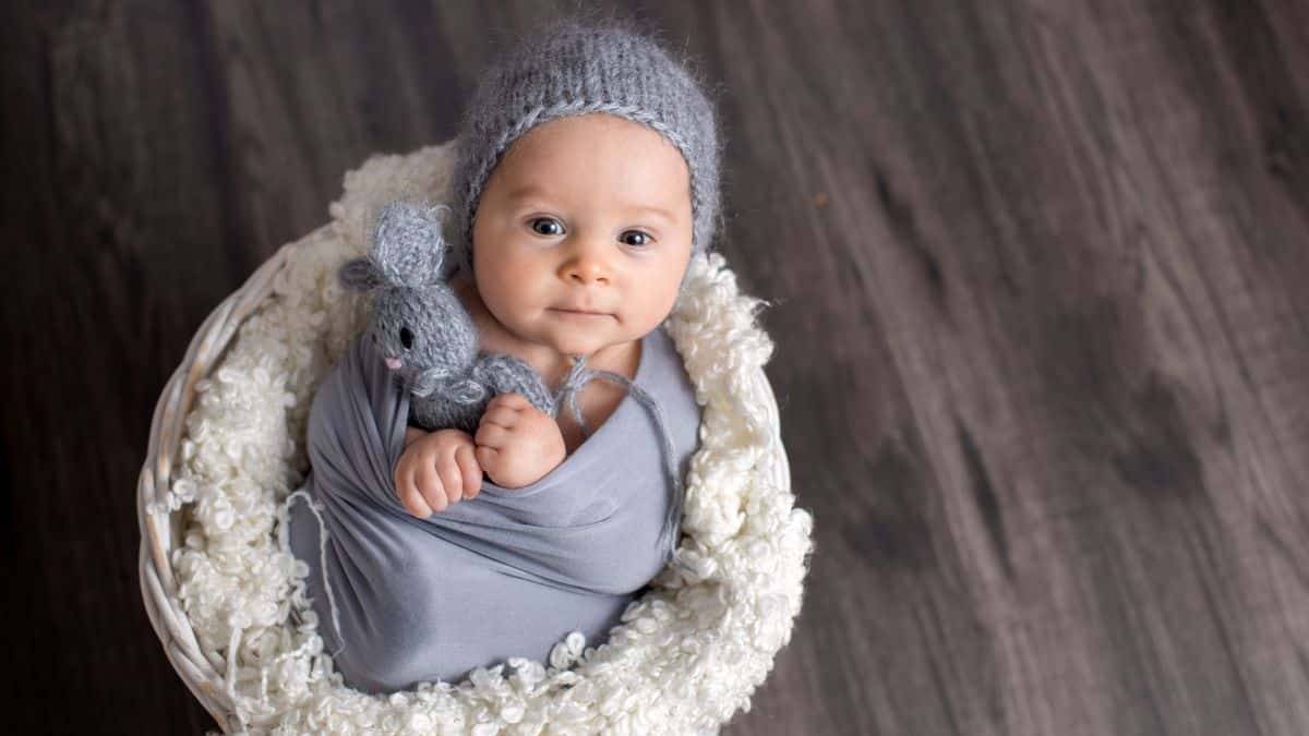 baby boy in gray swaddle and hat with gray bunny